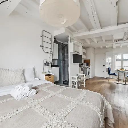 Le Louvre & Notre-Dame - Cityapartmentstay